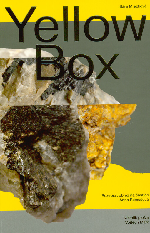 Yellow box : algoritmus současného digitálního obrazu a materialita médií, které ho vytvářejí