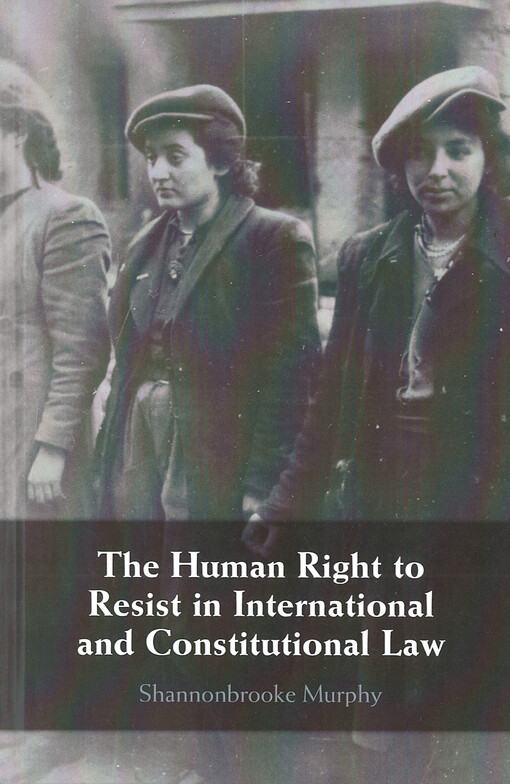 The human right to resist in international and constitutional law