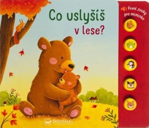 Co uslyšíš v lese?