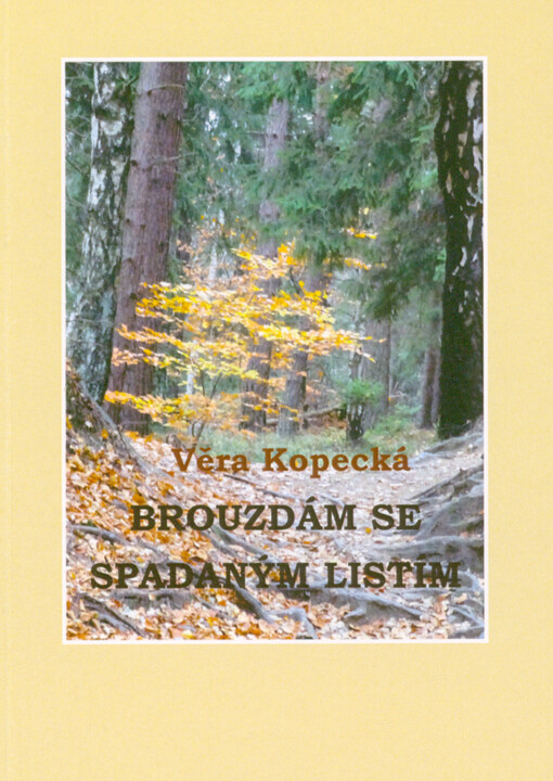 Brouzdám se spadaným listím