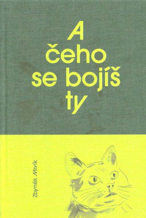 A čeho se bojíš ty