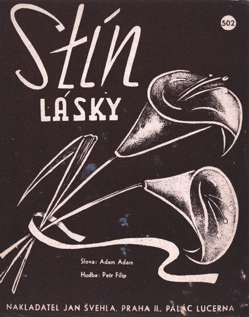 Stín lásky