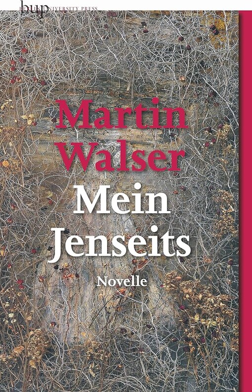 Mein Jenseits :Novelle
