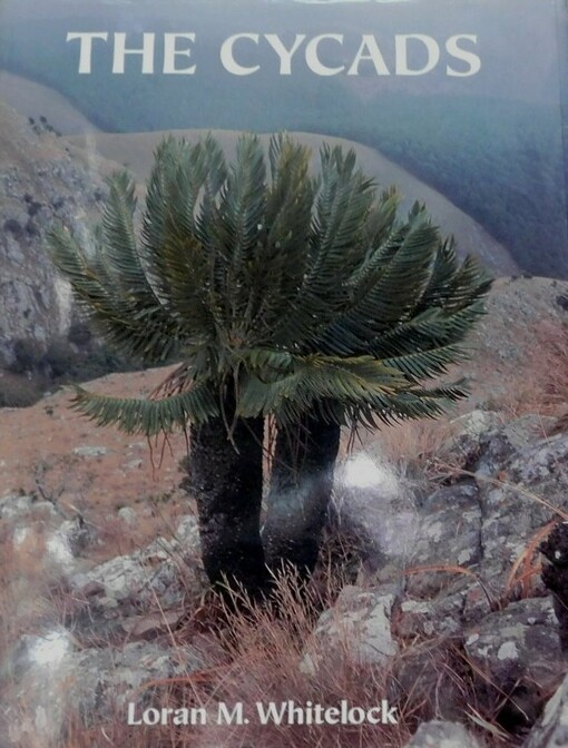 The Cycads