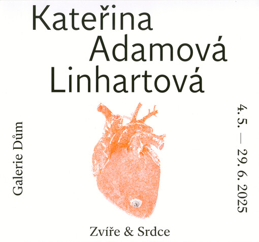 Kateřina Adamová Linhartová : zvíře & srdce : Galerie Dům, 4.5.-29.6.2025