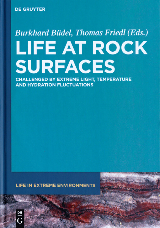 Life at rock surfaces