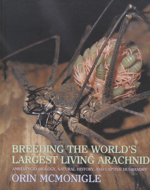 Breeding the world's largest living arachnid : amblypygid biology, natural history, and captive husbandry