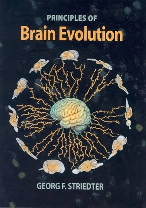 Principles of brain evolution