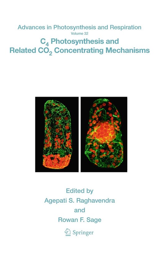 C4 photosynthesis and related CO2 concentrating mechanisms