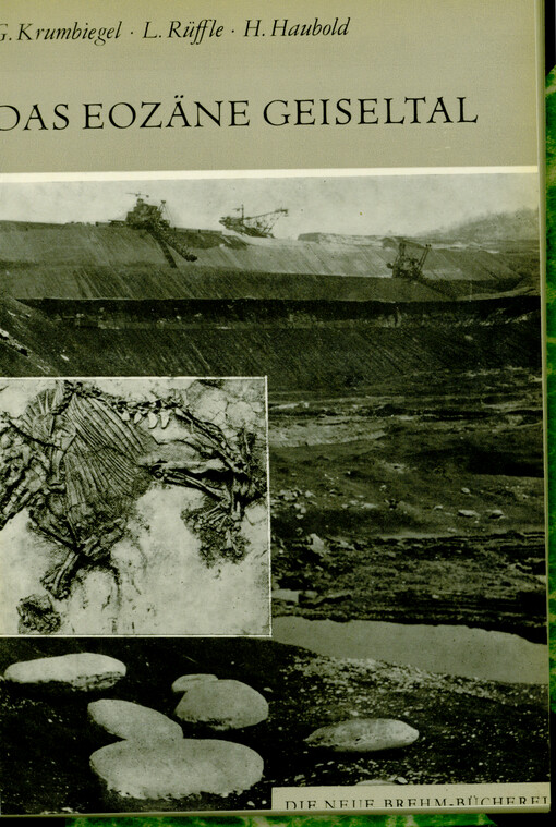 Das eozäne Geiseltal : ein mitteleuropäisches Braunkohlenvorkommen und seine Pflanzen- und Tierwelt