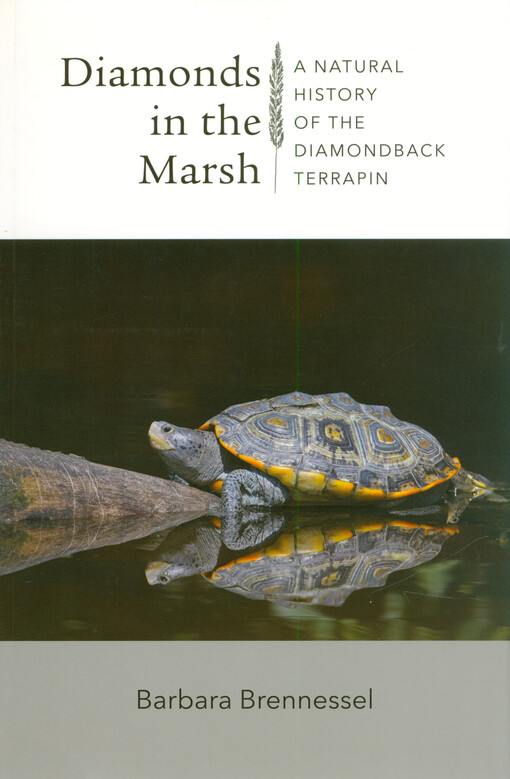 Diamonds in the marsh : a natural history of the diamondback terrapin