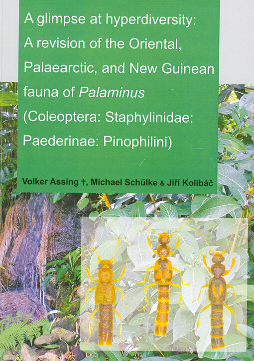 A glimpse at hyperdiversity: a revision of the Oriental, Palaearctic, and New Guinean fauna of Palaminus (Coleoptera: Staphylinidae: Paederinae: Pinophilini)