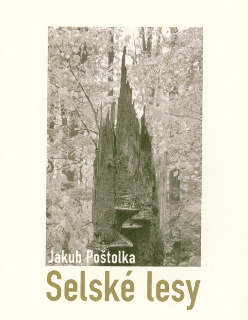 Selské lesy