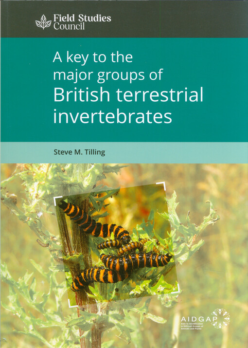 A key to the major groups of British terrestrial invertebrates