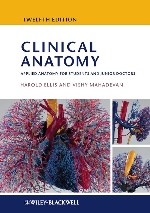 Clinical anatomy :applied anatomy for students and junior doctors