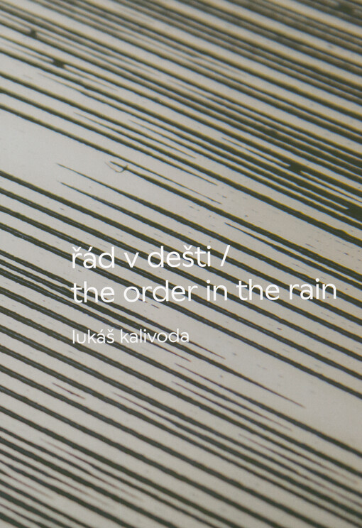 Lukáš Kalivoda : řád v dešti = the order in the rain