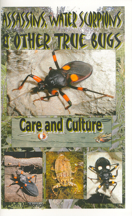 Assassins, water scorpions & other true bugs : care and culture