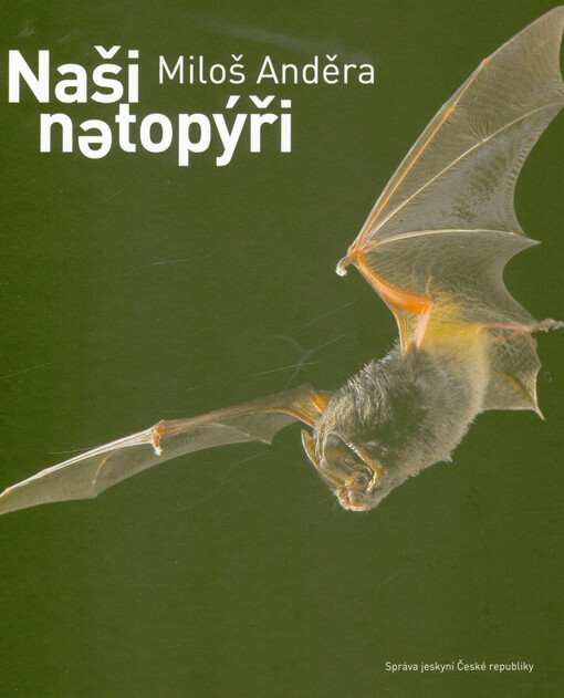 Naši netopýři