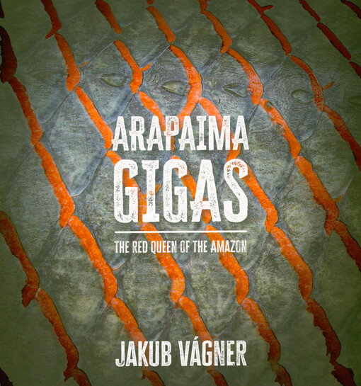 Arapaima gigas : the red queen of the Amazon