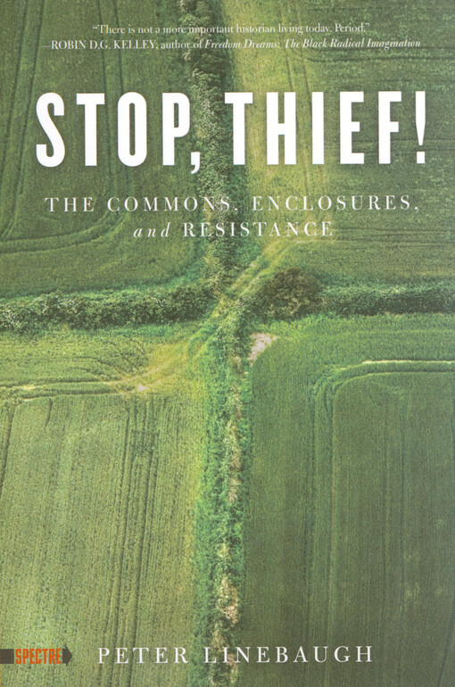 Stop, thief! : the commons, enclosures, and resistance