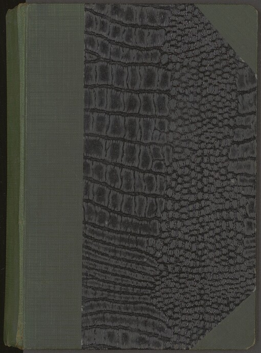 Český legionář: román z doby světové války. seš. 1