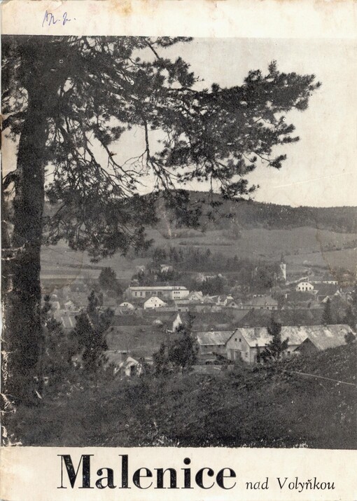 Malenice nad Volyňkou: historie a současnost jihočeské obce