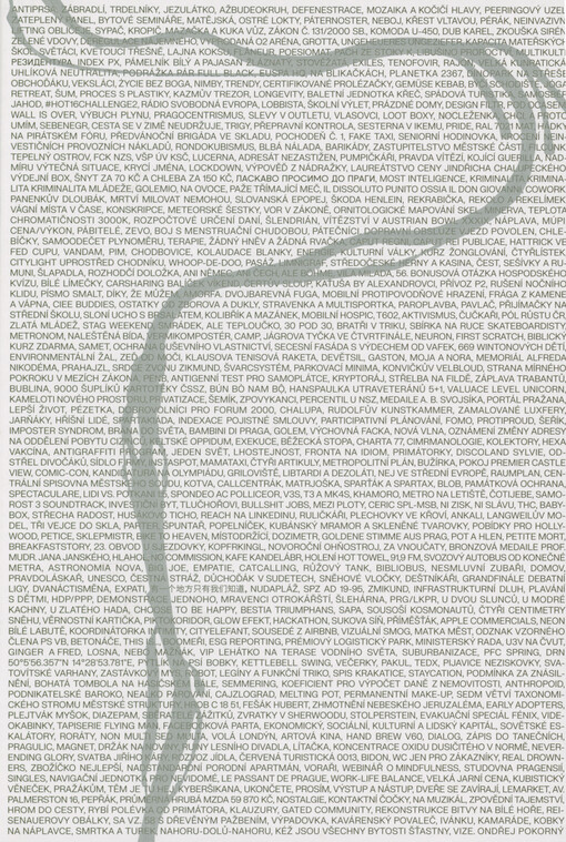 Antiprsa, zábradlí, trdelníky a to všechno okolo : osobní sonda do neobyčejného města, které funguje, a nikdo neví jak