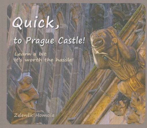 Quick, to Prague castle! : learn to bit - it's worth the hassle!