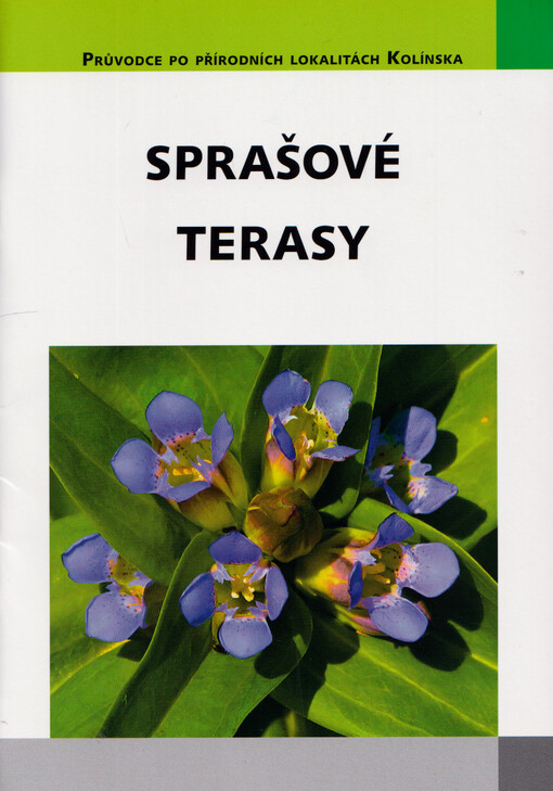 Sprašové terasy