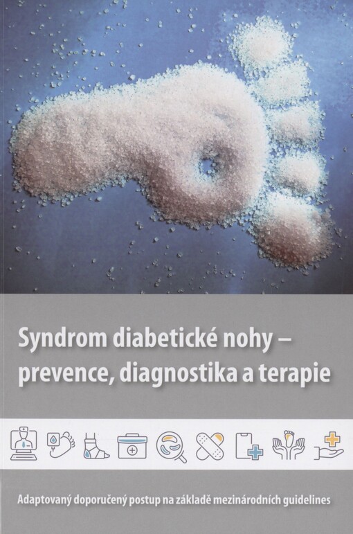 Syndrom diabetické nohy - prevence, diagnostika a terapie: adaptovaný doporučený postup na základě mezinárodních guidelines