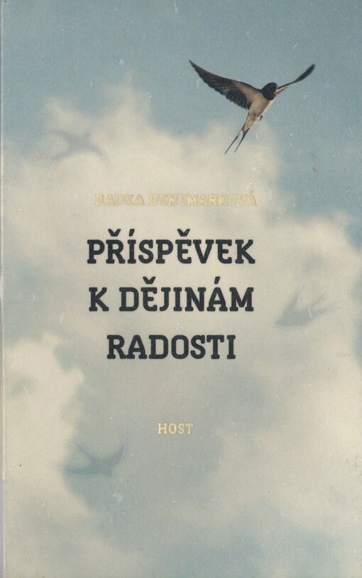 Příspěvek k dějinám radosti