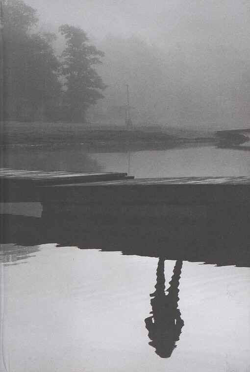 Odložené případy. Nezvěstná