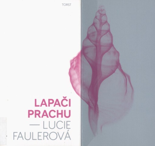 Lapači prachu