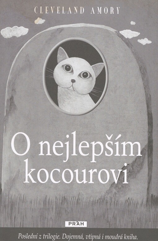 O nejlepším kocourovi