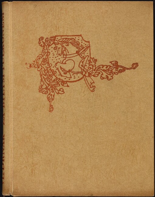 Za bílým půlkoněm