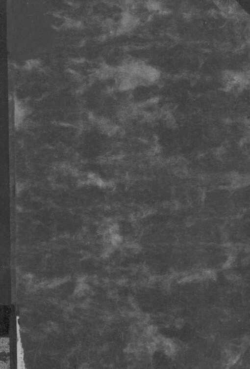 Zastřená tvář Afriky: třetí cesta Maghrebem