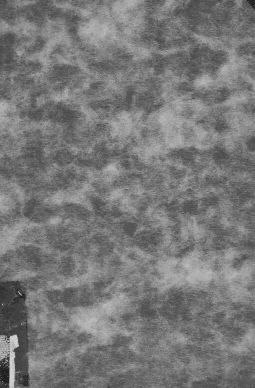 Komenský vychovatel: dvě studie