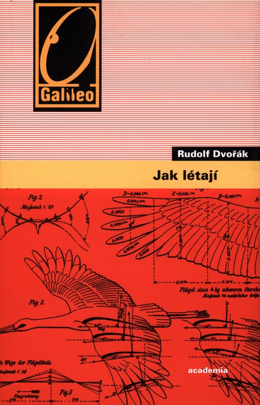 Jak létají