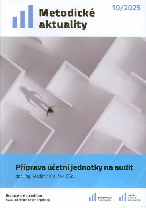 Příprava účetní jednotky na audit