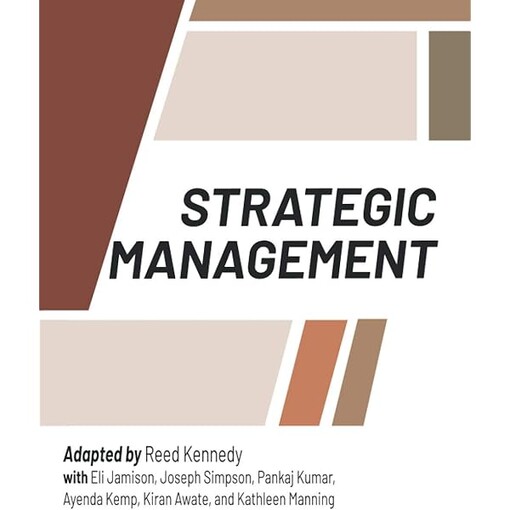 Strategic Management: A Focus on Process (Mcgraw Hill Series in Management)