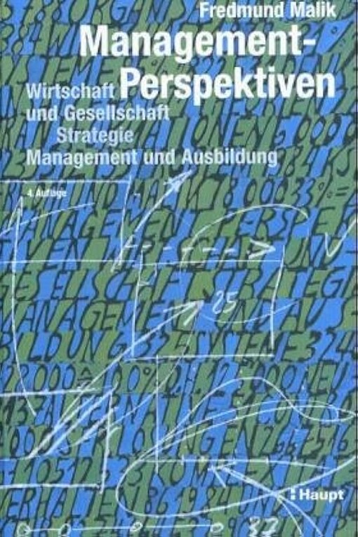 Management-Perspektiven: Wirtschaft und Gesellschaft, Strategie, Management und Ausbildung (German Edition)