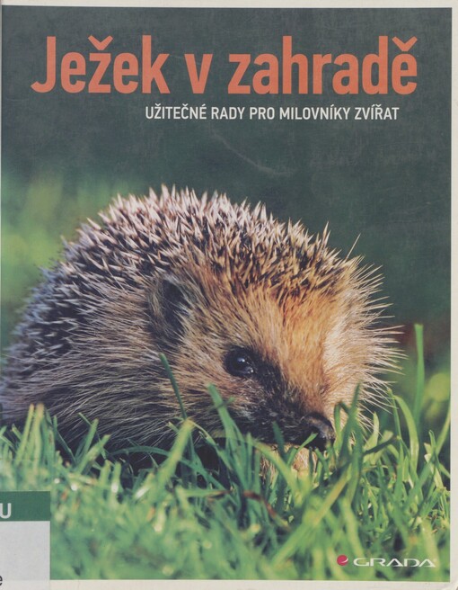 Ježek v zahradě: užitečné rady pro milovníky zvířat