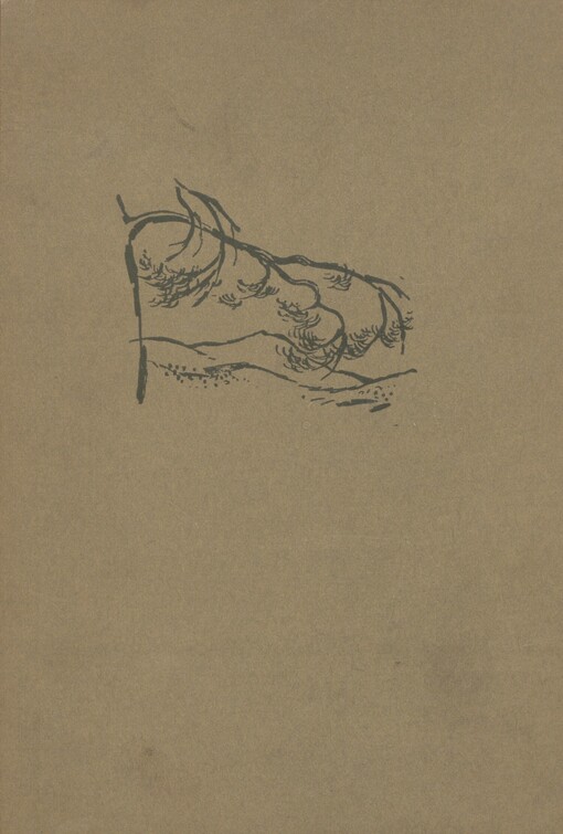 Ussurijským krajem: výprava do horské oblasti Sichote-Aliň v letech 1902-1906