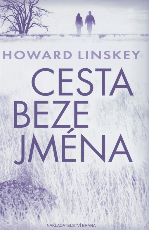 Cesta beze jména: thriller