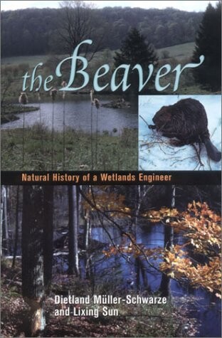 The Beaver: Natural History of a Wetlands Engineer (Comstock books)