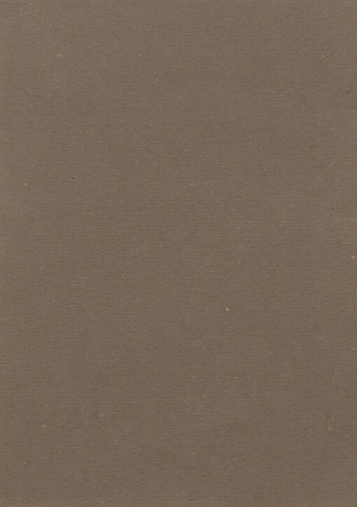 Zemský národní výbor v Praze: činnost od 5.V. do 14.X.1945 : vydáno k zemskému sjezdu delegátů dne 14. října 1945 v Praze