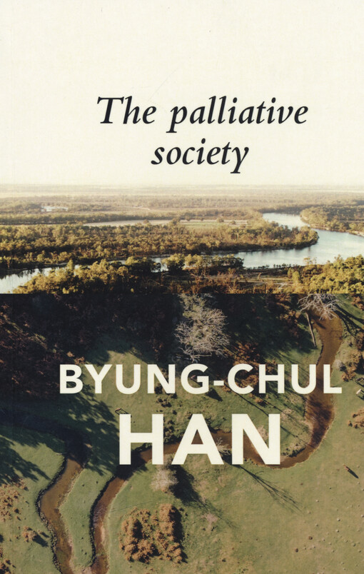 The palliative society : pain today