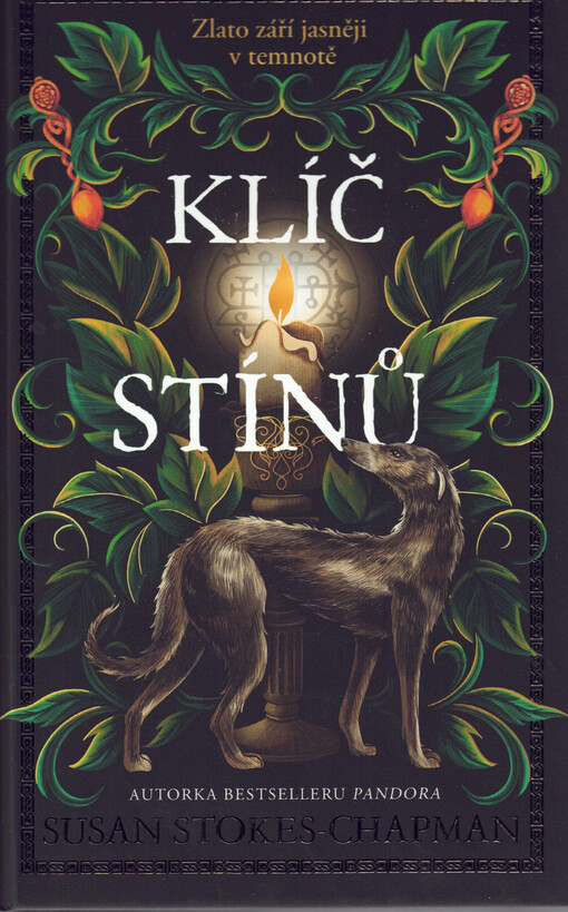 Klíč stínů / Susan Stokes-Chapman ; přeložila Tereza Janáčková