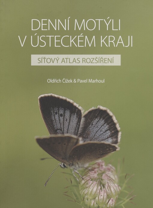 Denní motýli v Ústeckém kraji: síťový atlas rozšíření