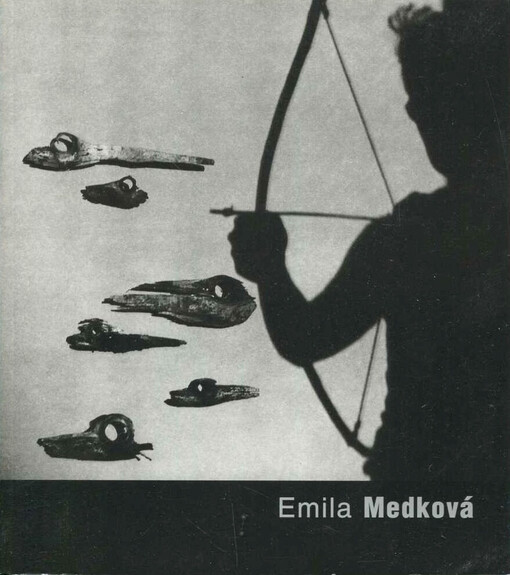 Emila Medková : 30.4.-13.6.2004, Galerie der Stadt Tuttlingen : 2.7.-29.8.2004, Stadtmuseum Hofheim am Taunus : 25.9.-21.11.2004, Museum Bad Arolsen und Museumsverein